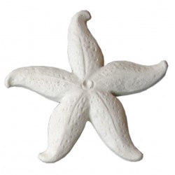 Ornament 728 starfish